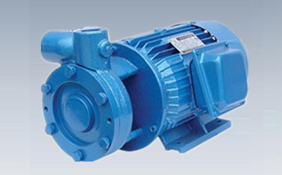 W型單級直連旋渦泵